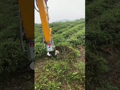 Accessoires de pelle hydraulique coupé bois de chauffage, branches de recadrage, pinceau clair