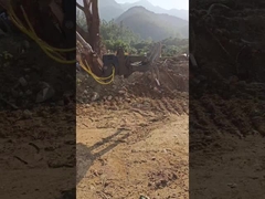 Type hydraulique WuYing, attrape-bois à cinq griffes, combinaison pour excavateur